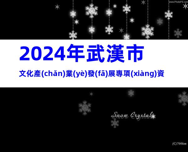 2024年武漢市文化產(chǎn)業(yè)發(fā)展專項(xiàng)資金項(xiàng)目(第一批)申報(bào)條件、時間