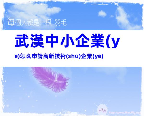 武漢中小企業(yè)怎么申請高新技術(shù)企業(yè)