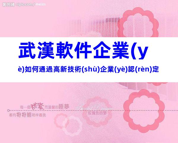 武漢軟件企業(yè)如何通過高新技術(shù)企業(yè)認(rèn)定