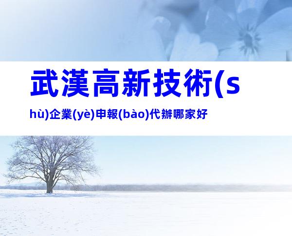 武漢高新技術(shù)企業(yè)申報(bào)代辦哪家好