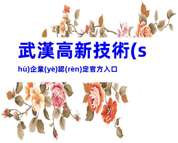 武漢高新技術(shù)企業(yè)認(rèn)定官方入口