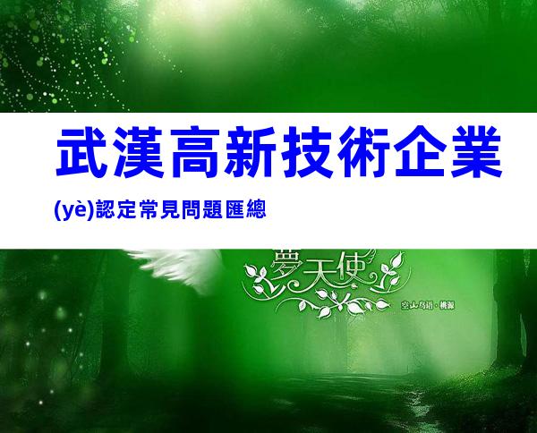 武漢高新技術企業(yè)認定常見問題匯總