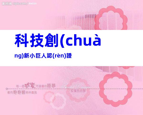 科技創(chuàng)新小巨人認(rèn)證