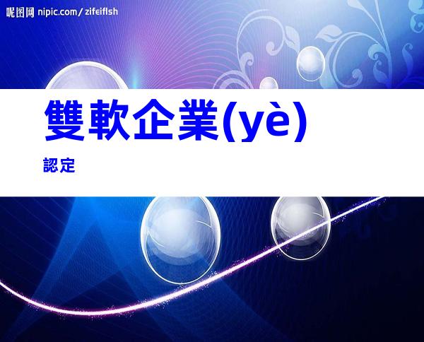 雙軟企業(yè)認定